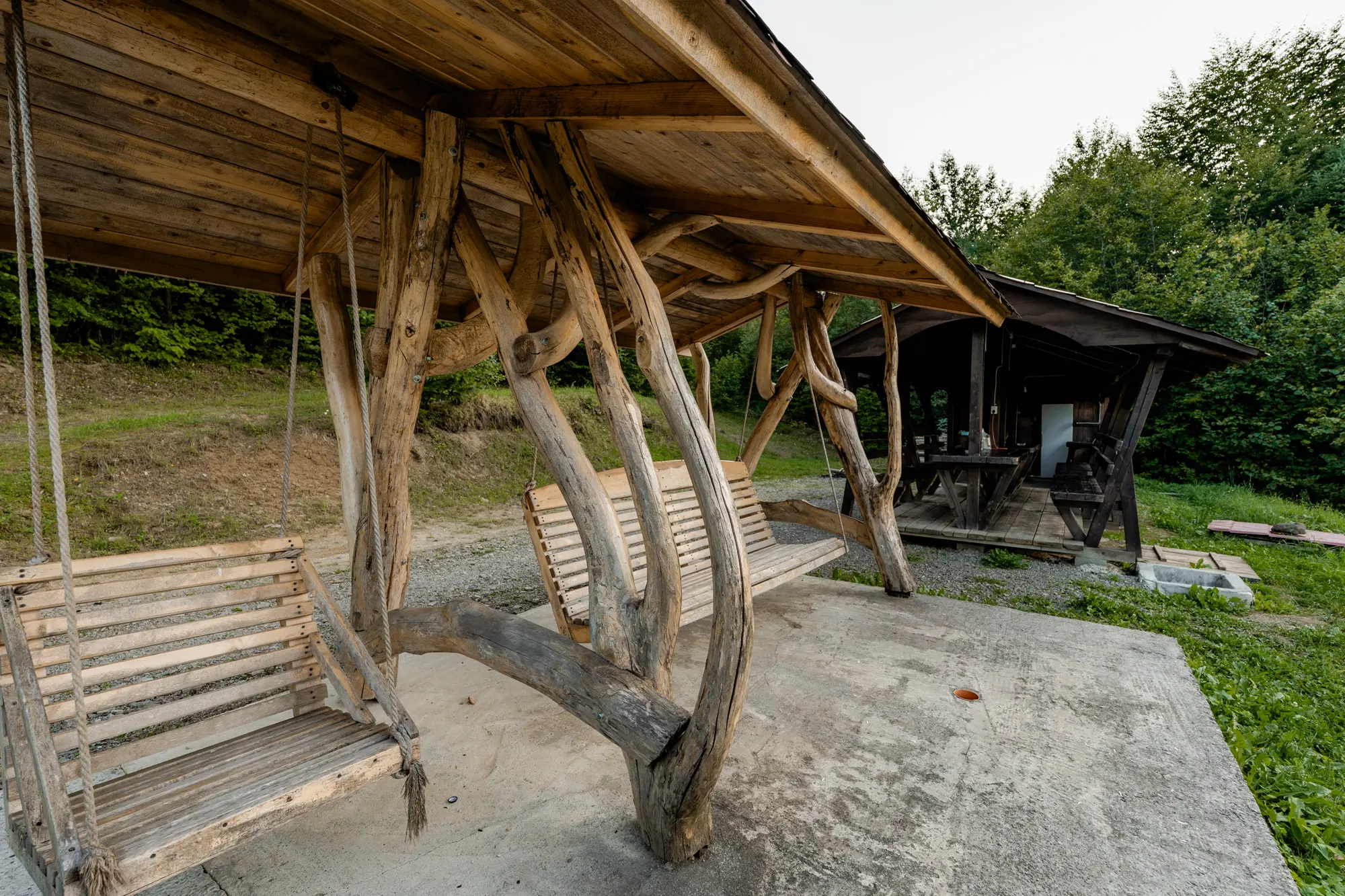 farmecul_naturii_colibita_20