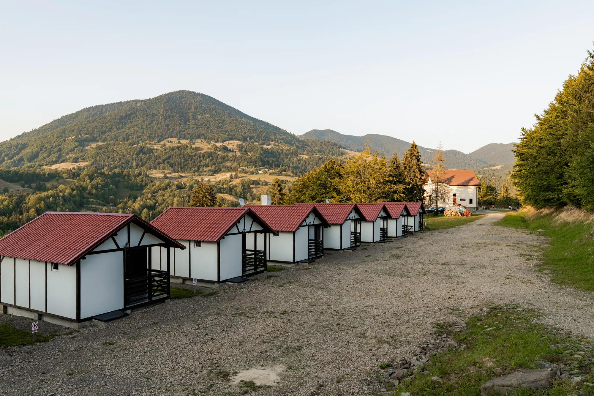 farmecul_naturii_colibita_21